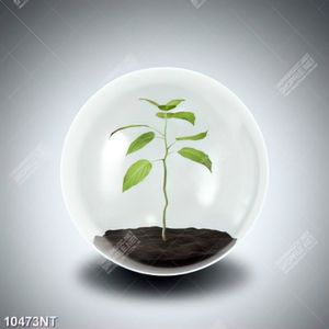 Tranh bảo vệ cây xanh