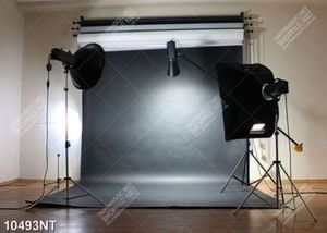 Tranh studio chụp ảnh