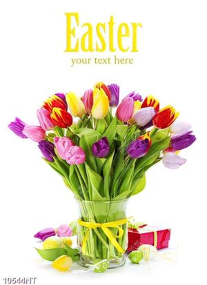 Tranh hoa tulip rực rỡ sắc màu 