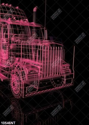 Tranh 3D đầu xe