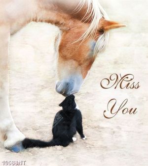 Tranh miss you