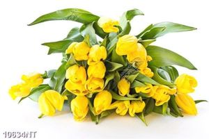 Tranh hoa tulip vàng 10634NT