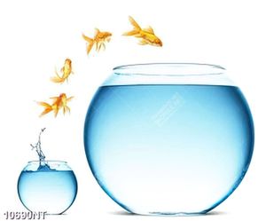 Tranh chậu cá cảnh nghệ thuật 
