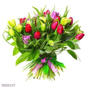 Tranh bó hoa tulip đẹp 10693NT
