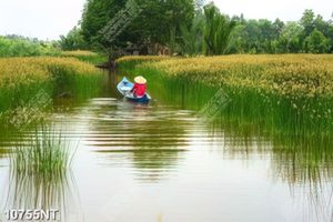 Tranh phong cảnh sông nước tuyệt đẹp