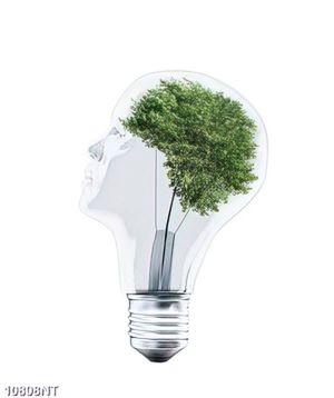 Tranh bóng đèn nghệ thuật 10808NT