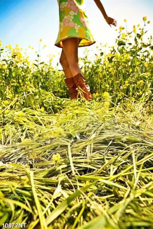 Tranh cô gái đứng giữa cánh đồng hoa