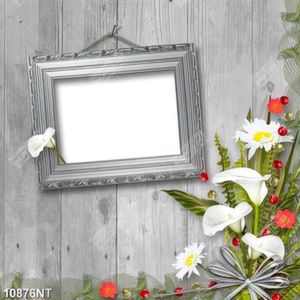Tranh khung ảnh gắn trên tường