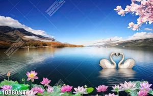 Tranh hồ nước thiên nga hoa sen file psd