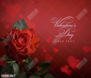 Tranh hoa hồng valentine's day