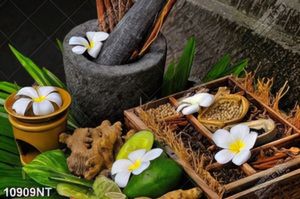 Tranh các loại thảo mộc