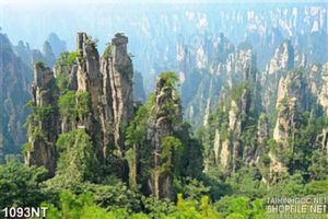 Tranh nhưng ngon núi đứng