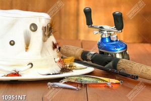 Tranh đặt cần câu cá