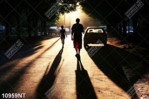 Tranh con đường buổi sớm mai