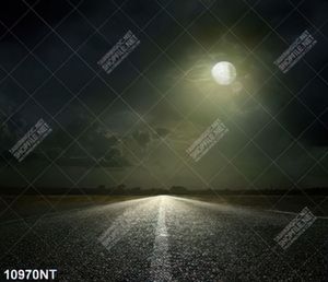 Tranh con đường dưới đêm trăng tròn