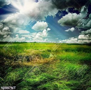 Tranh nghệ thuật đẹp nhất