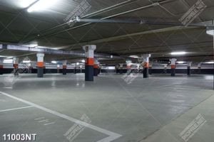 Tranh nghệ thuật trang trí tường
