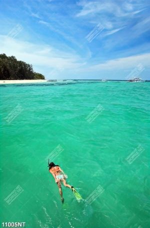 Tranh nghệ thuật đẹp nhất