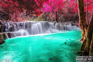 Tranh rừng suối thơ mộng