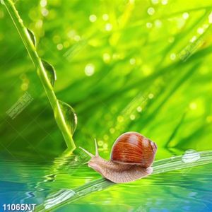 Tranh nghệ thuật đẹp nhất
