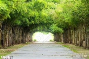 Tranh hàng tre làng