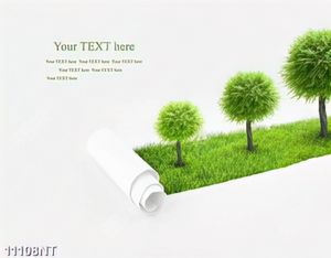 Tranh nghệ thuật trang trí tường