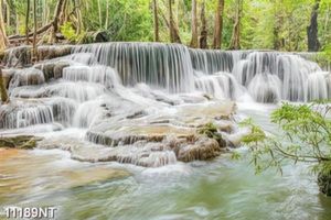 Tranh nghệ thuật trang trí tường