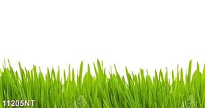 Tranh nghệ thuật đẹp nhất