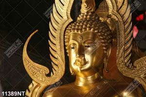 Tranh nghệ thuật in canvas chất lượng cao