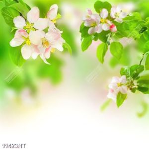 Tranh nghệ thuật trang trí tường