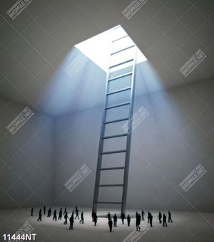 Tranh treo tường trang trí nghệ thuật