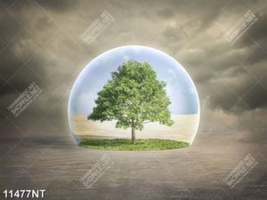 Tranh cây xanh nghệ thuật 11477NT