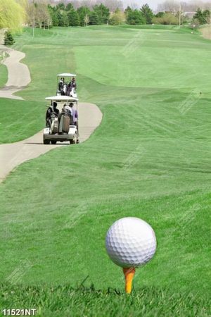 Tranh sân golf 11521NT