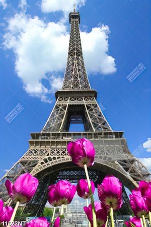 Tranh hoa tulip và tháp Eiffel