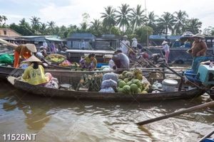 Tranh chợ nổi 