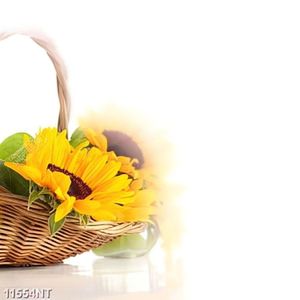 Tranh giỏ hoa hường dương