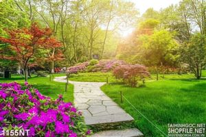 Tranh con đường đầy hoa