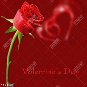 Tranh hoa hồng valentine's day