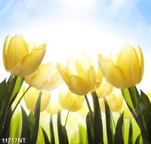 Tranh hoa tulip vàng 11717NT