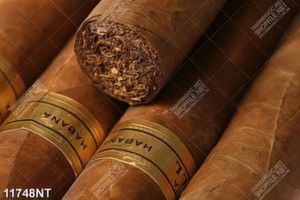 Tranh xì gà Habana