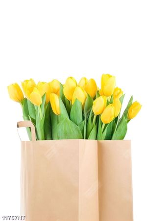 Tranh túi đựng hoa tulip 