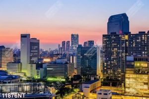 Tranh thành phố lên đèn