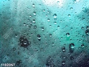 Tranh mặt kính phủ hơi nước