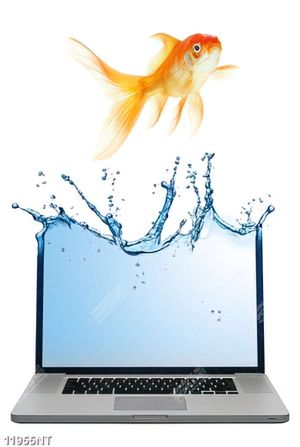 Tranh nghệ thuật cá vàng và nước
