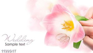 Tranh wedding
