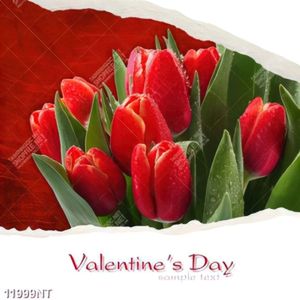Tranh hoa đỏ valentine's day