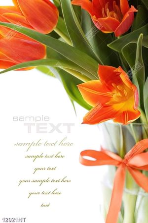 Tranh hoa tulip 12021NT