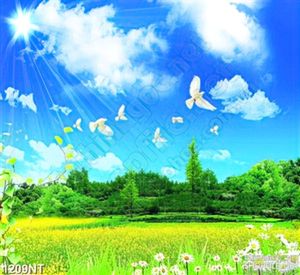 Tranh đàn cò sải cánh