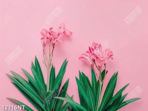 Tranh cành hoa bên bức tường hồng 