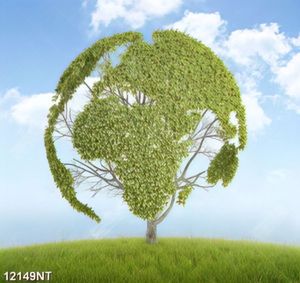 Tranh cây xanh nghệ thuật 12149NT